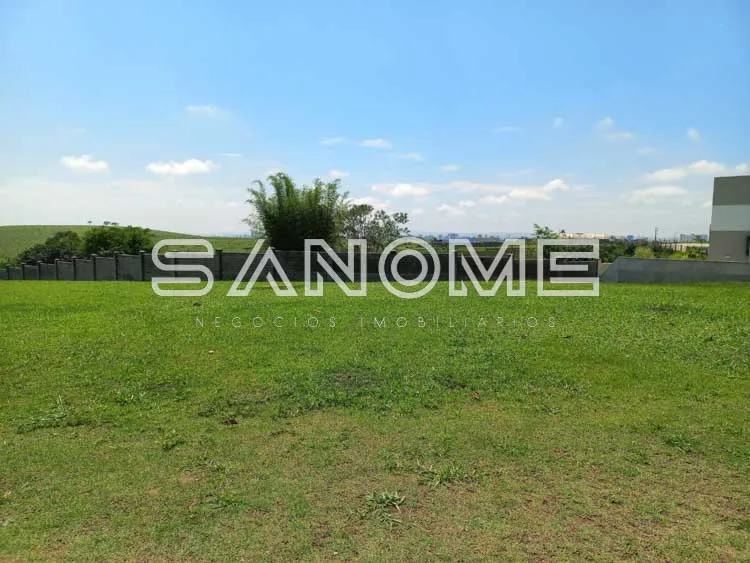 Terreno plano com grama e árvore isolada