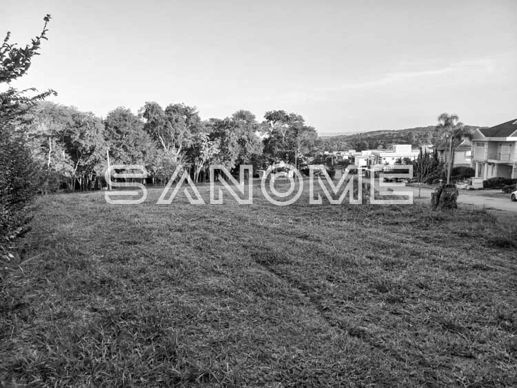 Terreno com árvores e casarões ao fundo