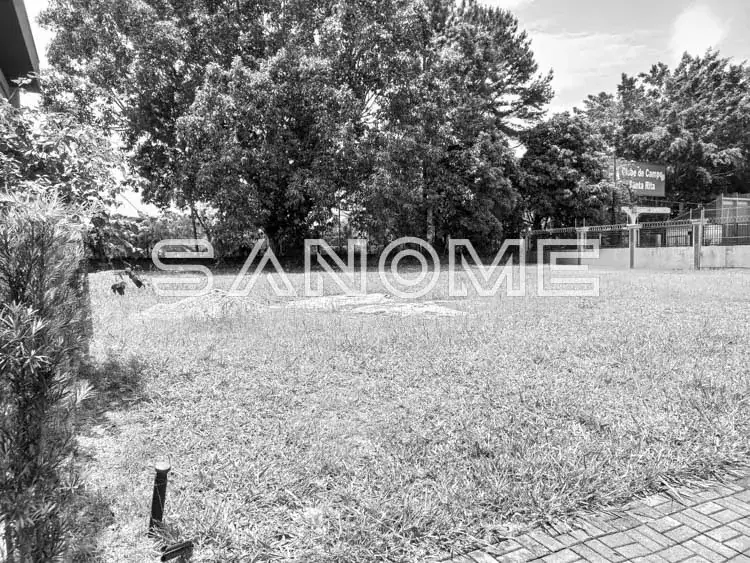 Terreno com grama e árvores de grande porte