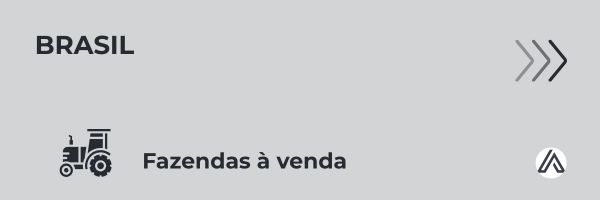 Fazendas à venda no Brasil